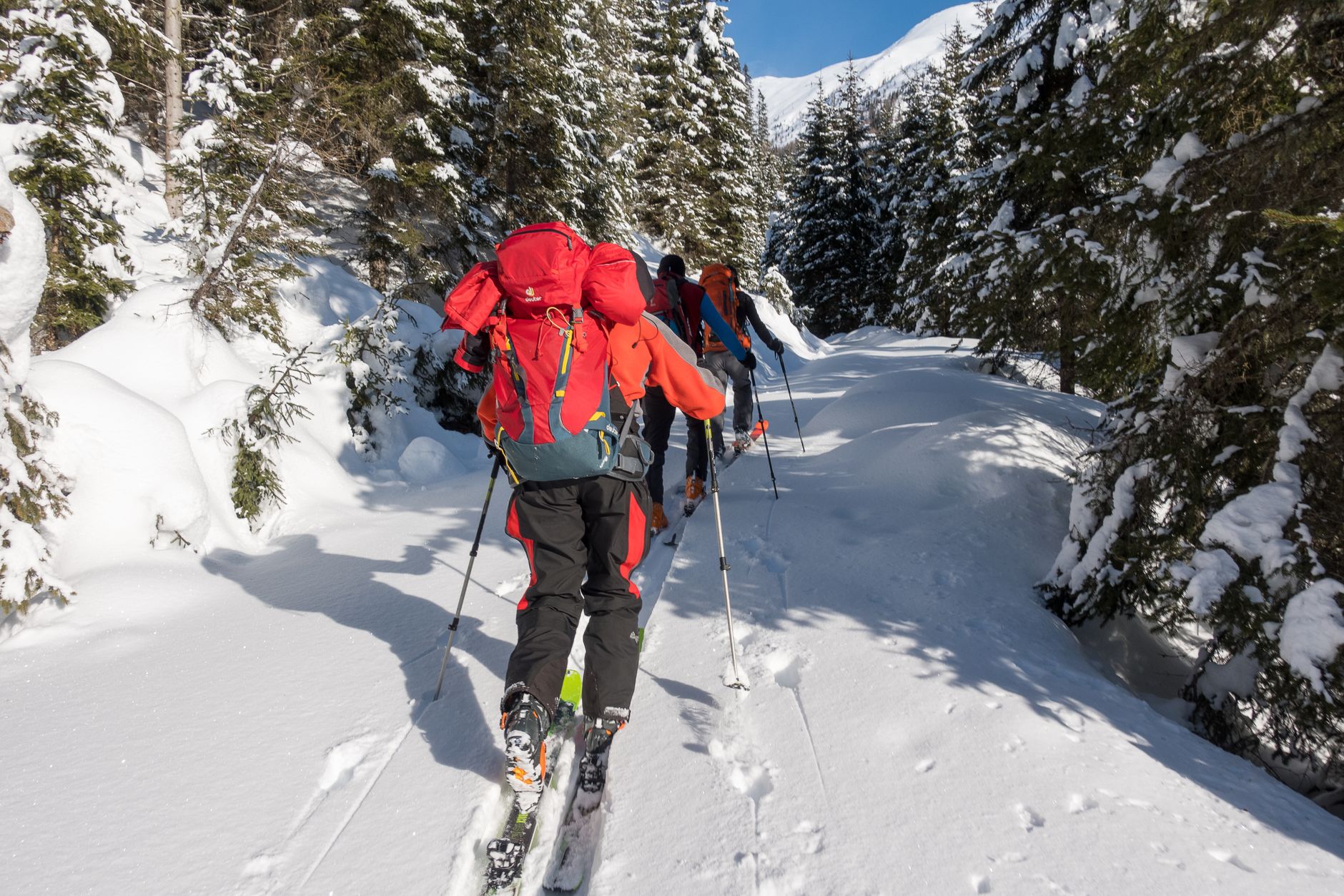 Ski Touring in Svaneti — Five Days Beneath the Giants — photo 3